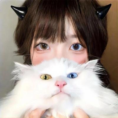 弹簧床先生